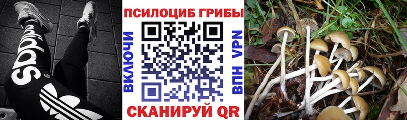 Галлюциногенные грибы ЛСД  Купить закладки  Гурьевск 